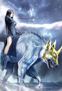 追求頂級Alpha,從入門到放棄